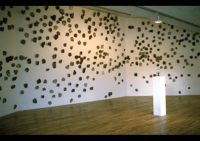 Collection of Hoofcasts, Arnolfini, Bristol, 1997